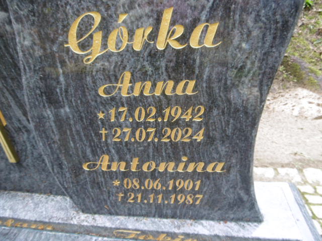 Antonina Górka 1901 Lwówek Śląski - Grobonet - Wyszukiwarka osób pochowanych